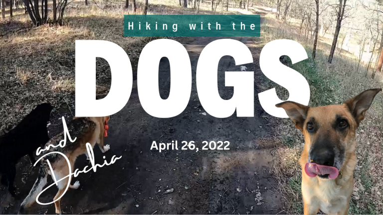 Hike With the Dogs April 26, 2022