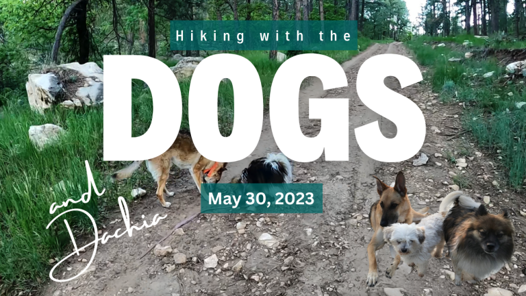 Hiking with the Dogs May 30, 2023