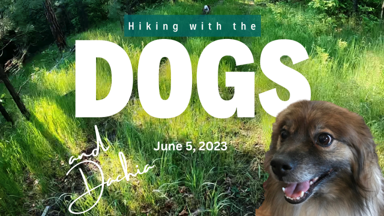 Hike with the Dogs- June 5, 2023
