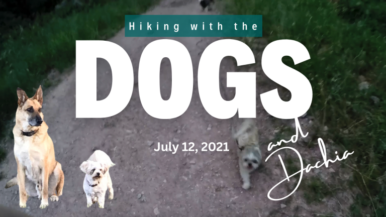 Hiking with the Dogs July 12, 2021