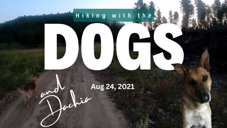 Hiking with the Dogs August 24, 2021