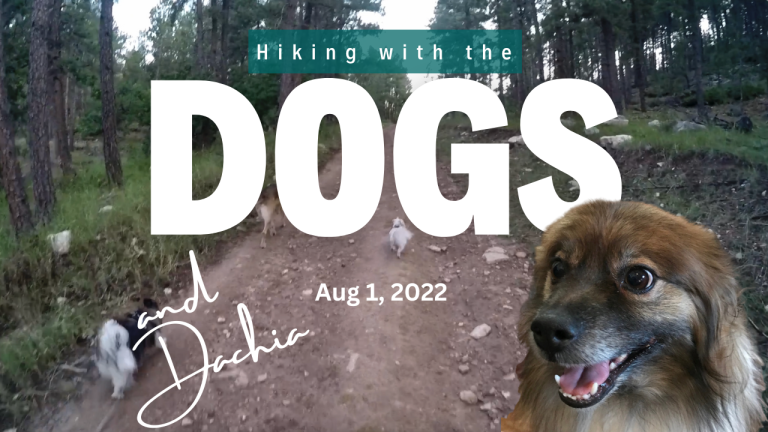Hiking with the Dogs August 1, 2022