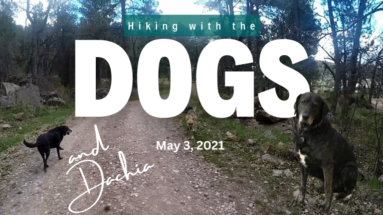Hiking With The Dogs May 3, 2021