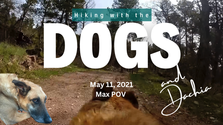 Hiking with the Dogs, Max POV May 11, 2021