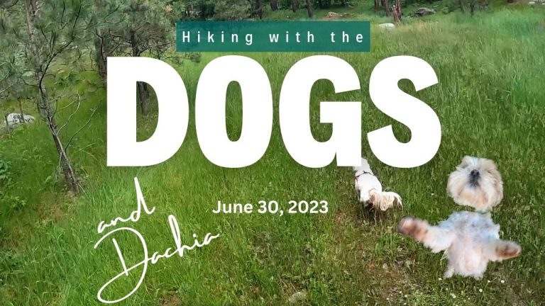 Hiking with the Dogs 6/30 23