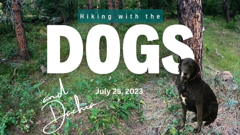 Hike with Dogs- July 25, 2023