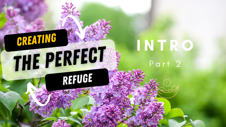 The Perfect Refuge- Introduction part 2