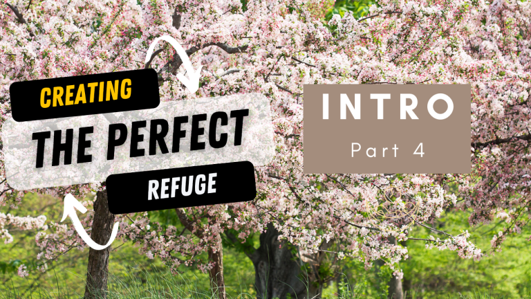 The Perfect Refuge- intro part 4