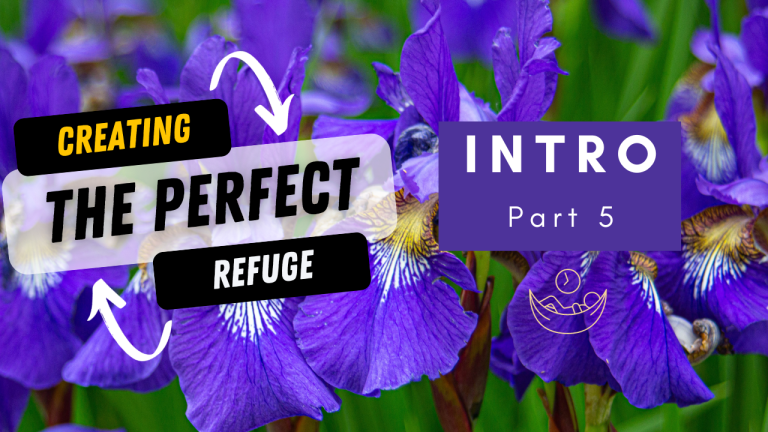 The Perfect Refuge- intro part 5