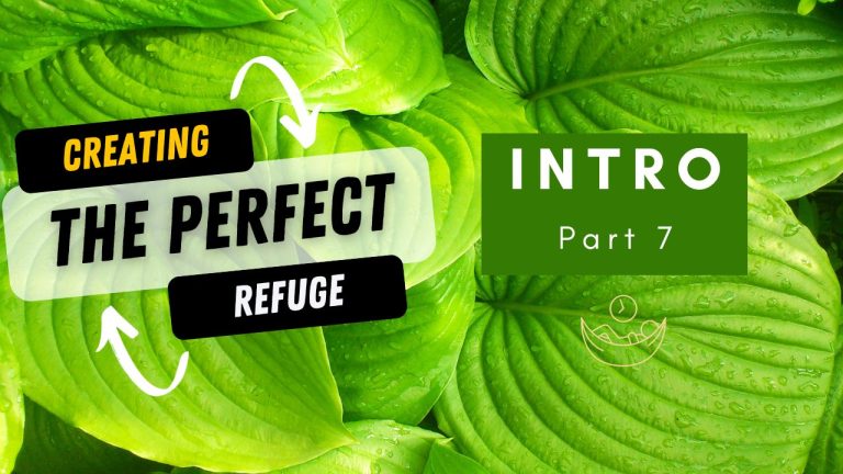 The Perfect Refuge- intro part 7