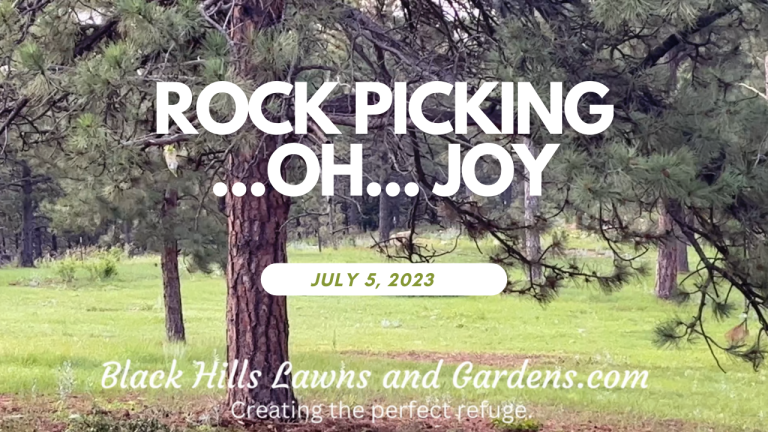 The Perfect Refuge- Rock Picking July 5, 2023
