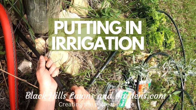 The Perfect Refuge- Irrigation